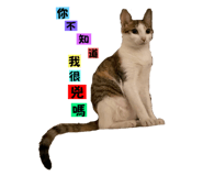 556414988