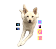 556414989