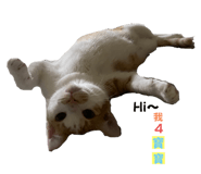 556414990