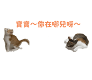 556414992
