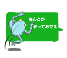 5564167