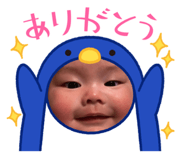 556422411