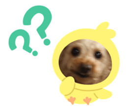 556423832