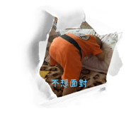 556424416