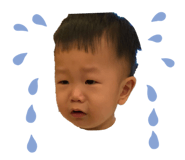 556424427