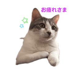 556430400