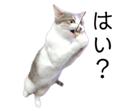 556430402
