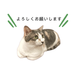 556430414