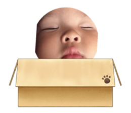 556436149
