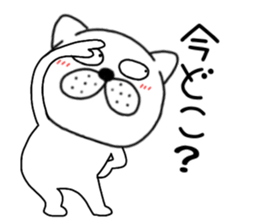 556439433