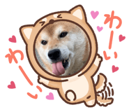 556440866