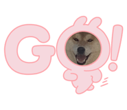 556440869