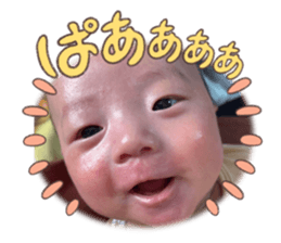 556445781