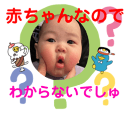 556446372