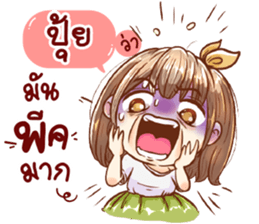 55644793