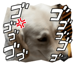 556455554