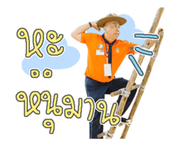 556457923