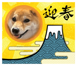556504533