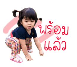 55650463