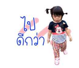 55650477
