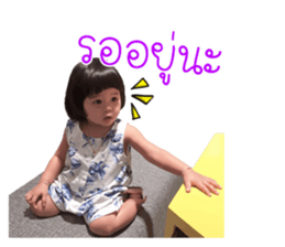 55650480