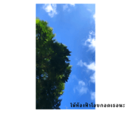 556506878