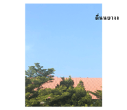 556506882