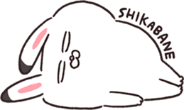 556508615