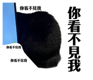 556513197
