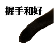 556513201