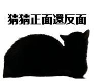 556513208