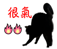 556513218