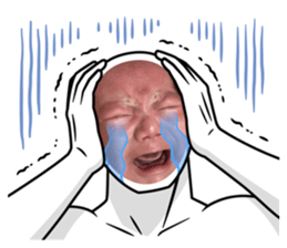 556526679
