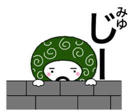 55652698