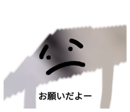 556559541