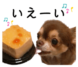 556560010