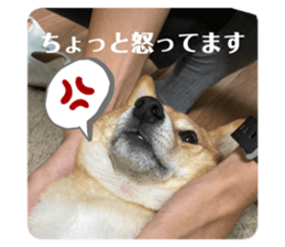 556561975