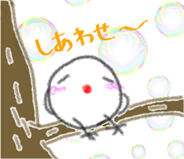 55656543