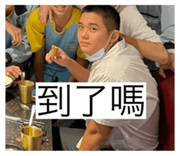 556576493