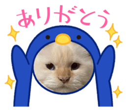 556588562