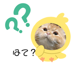 556588577