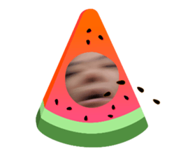 556590365