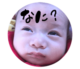 55659108
