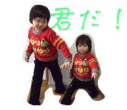 556591663