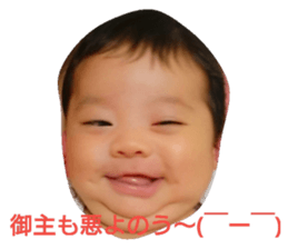 55659398