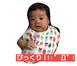 55659402