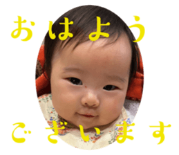 556597603