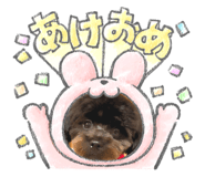 556605833