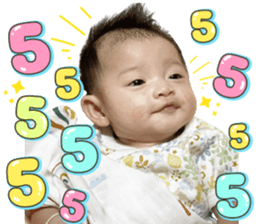 556612808