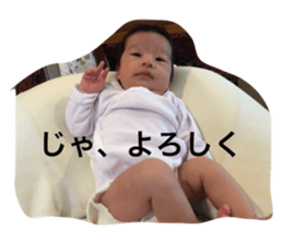 55661808